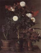 Jensen Johan Gardenia and Amaryllis Norge oil painting reproduction